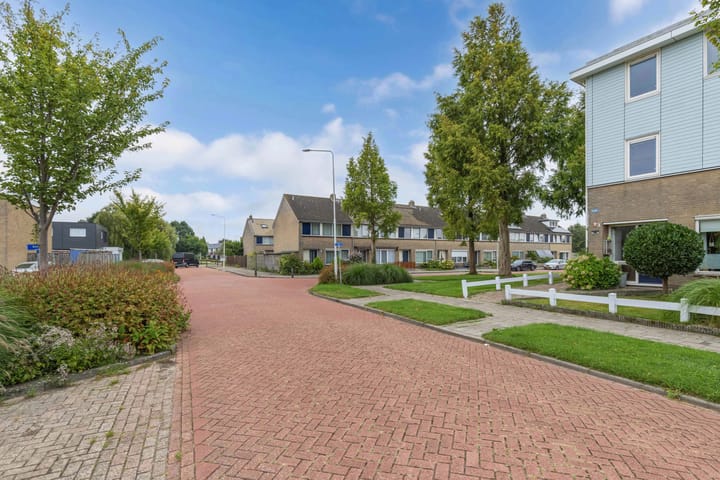 Photo 53 of Fluit 28