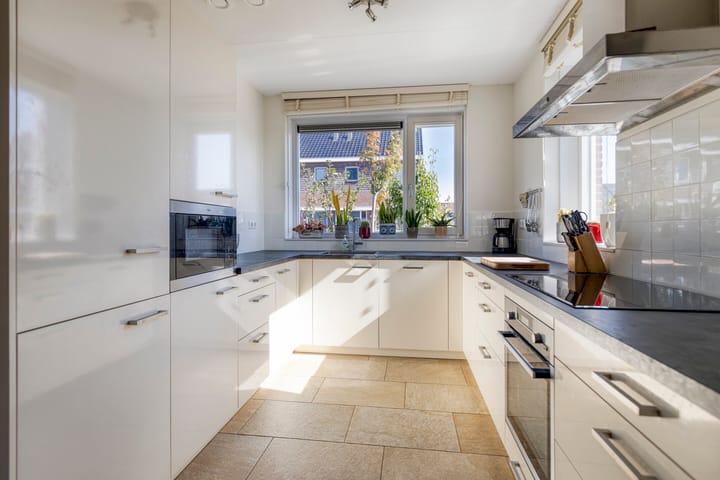 Foto 3 van Krokus 36