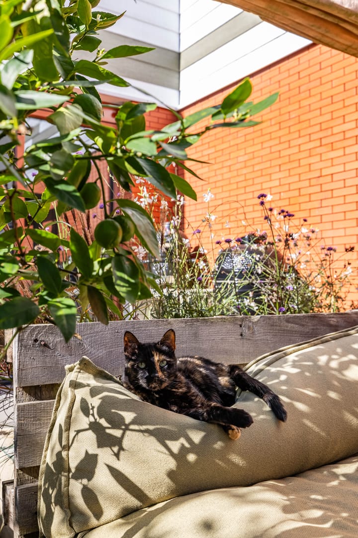 Foto 31 van Het Lansink 15