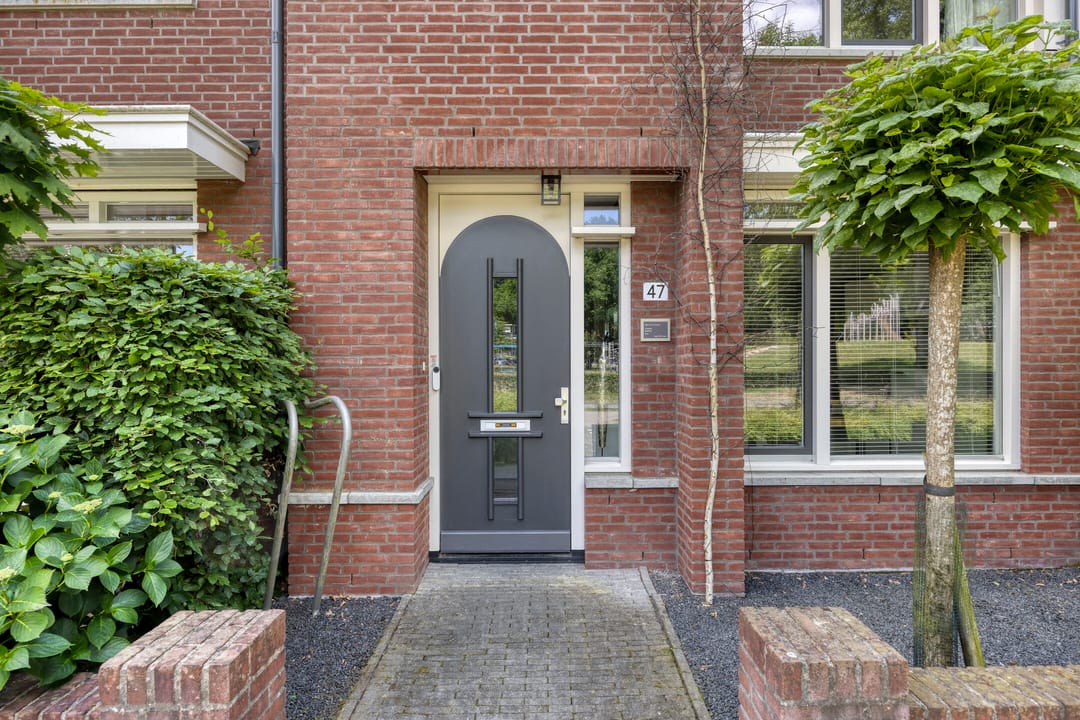 Foto 7 van Parelmoervlinder 47