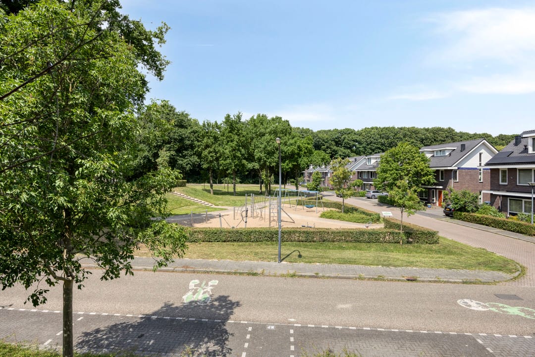 Foto 28 van Parelmoervlinder 47