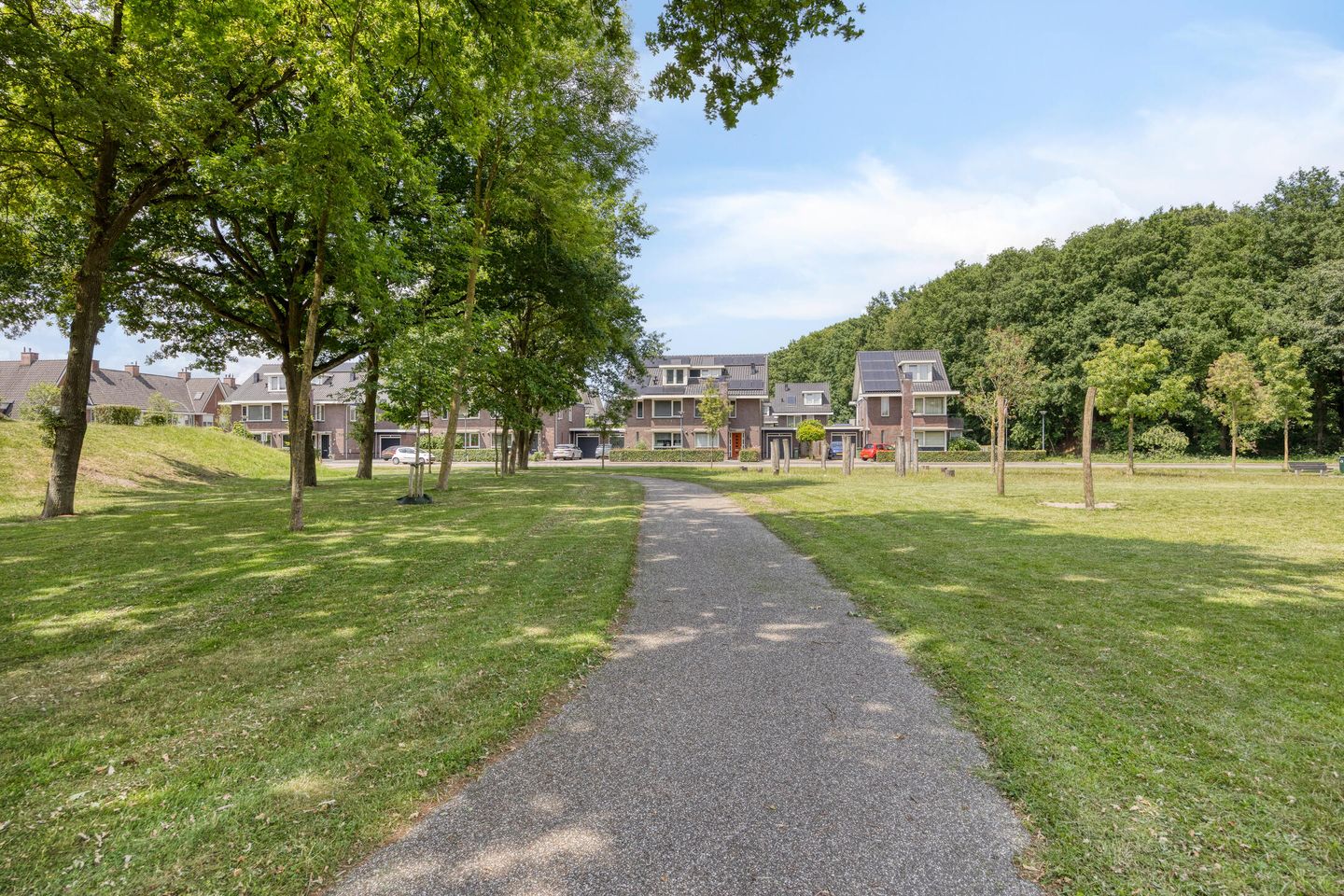 Foto 29 van Parelmoervlinder 47