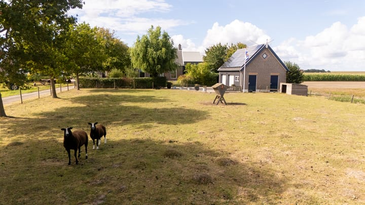 Photo 2 of Hogeweg 67