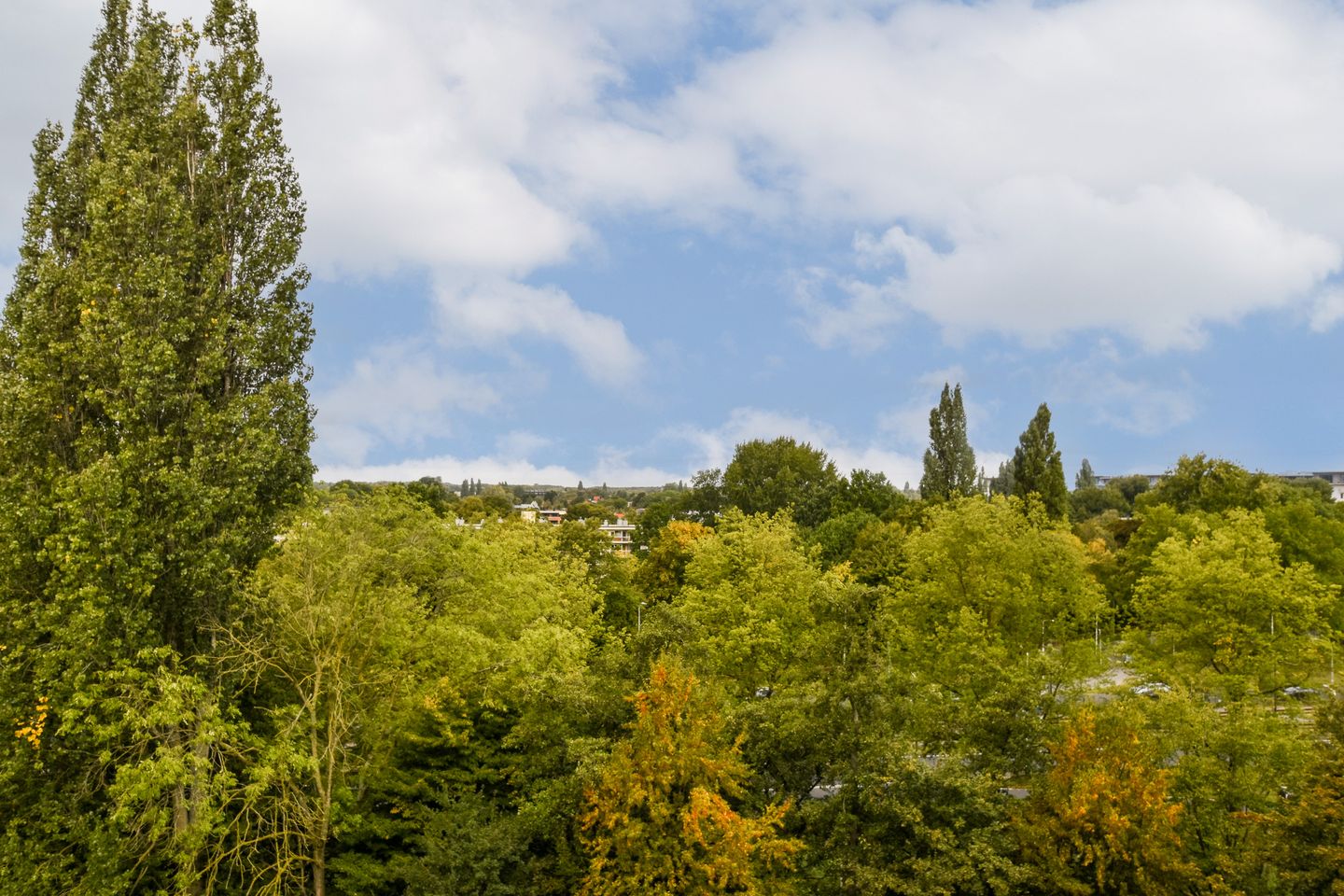 Photo 14 of Laan van de Helende Meesters 378