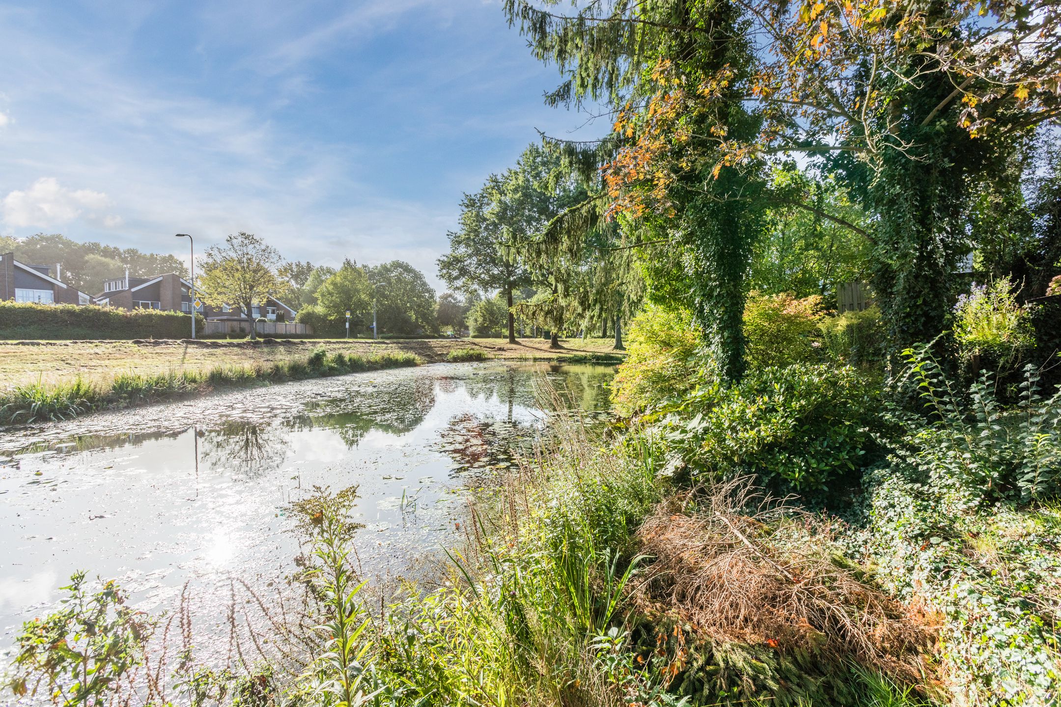 Foto 21 van Vlaskamp 6