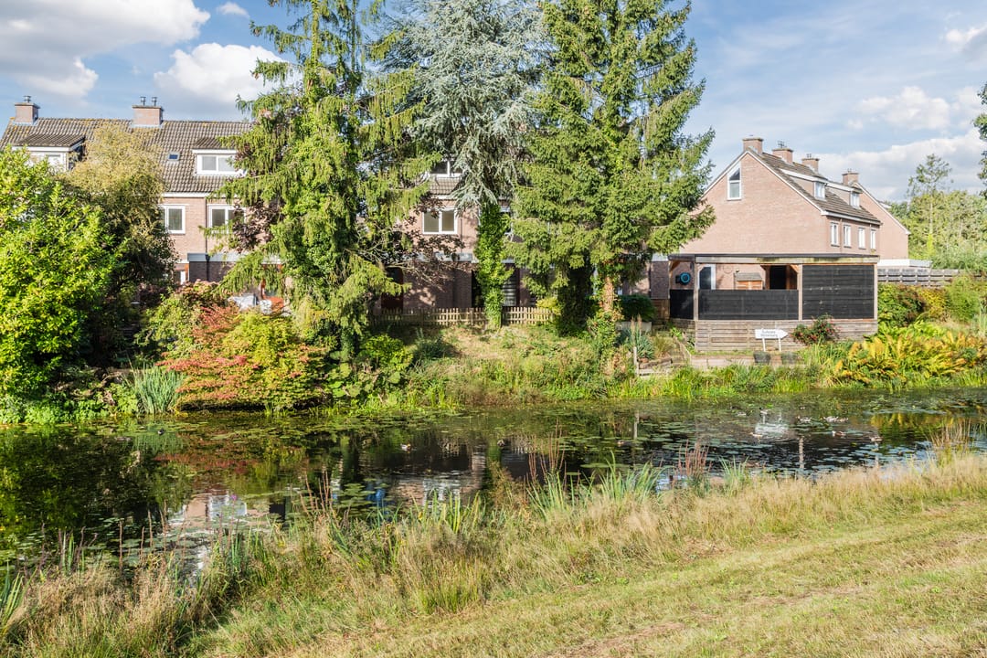 Foto 38 van Vlaskamp 6