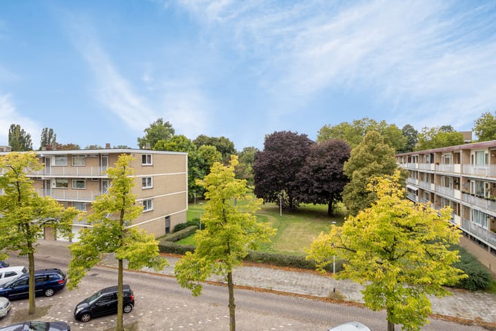 Foto 6 van Malvert 6673