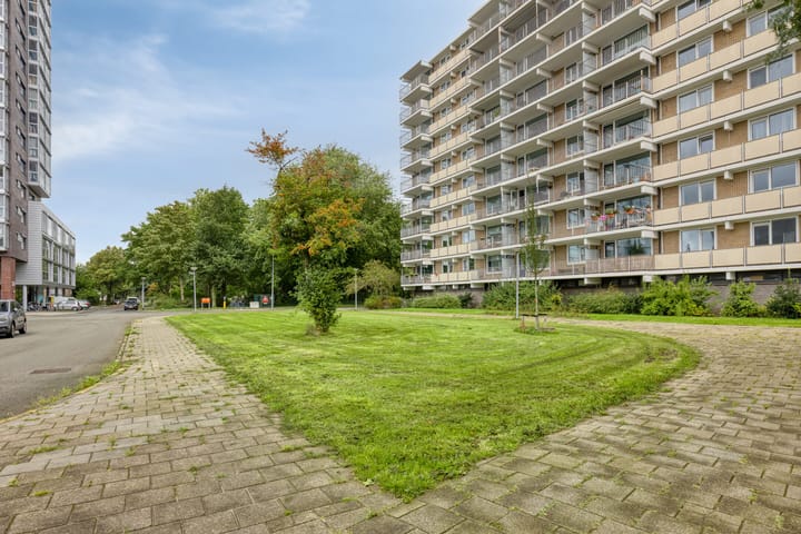 Photo 29 of Grote Beerstraat 256