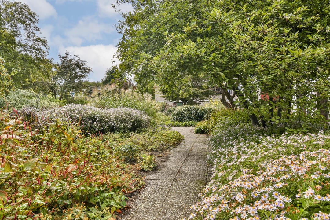 Foto 31 van Vrijzicht 92