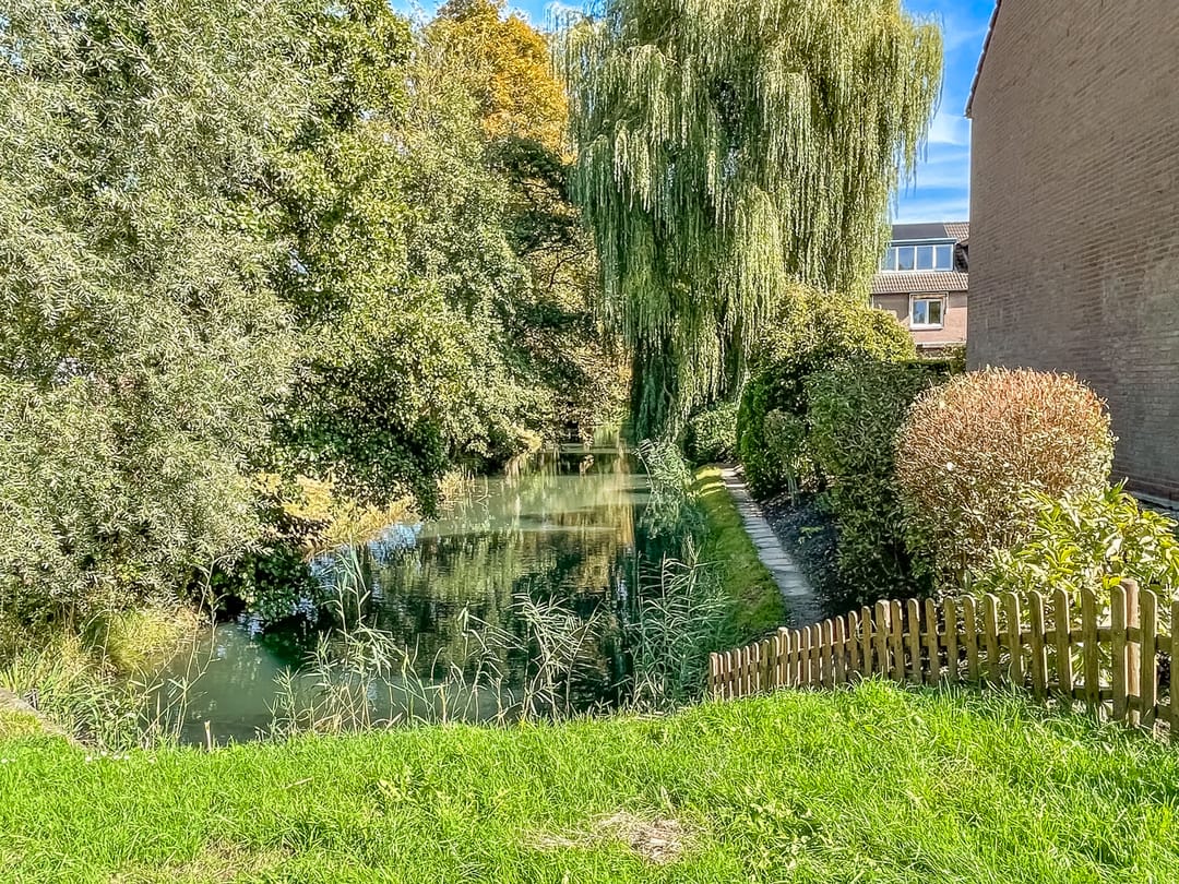 Foto 38 van Simplonbaan 246