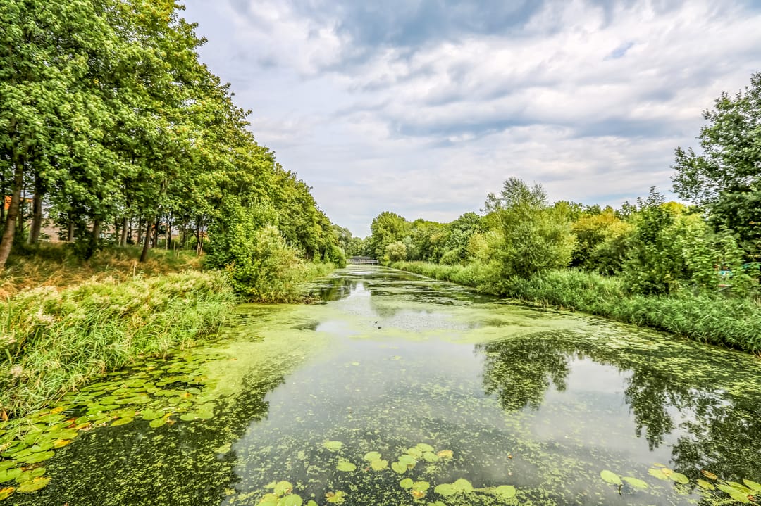 Foto 41 van Simplonbaan 246