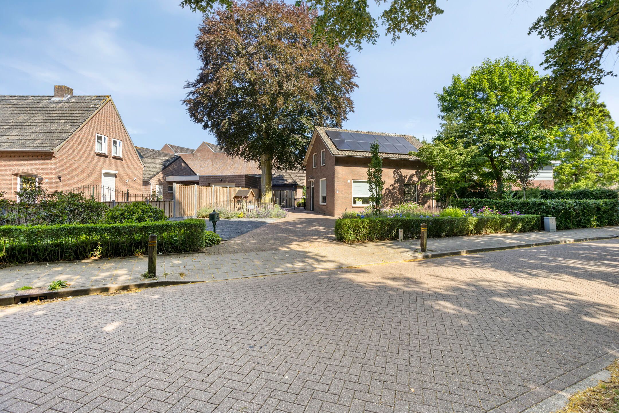 Foto 6 van Brandsestraat 3