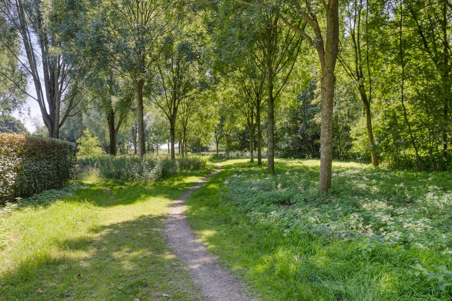 Foto 50 van Brandsestraat 3