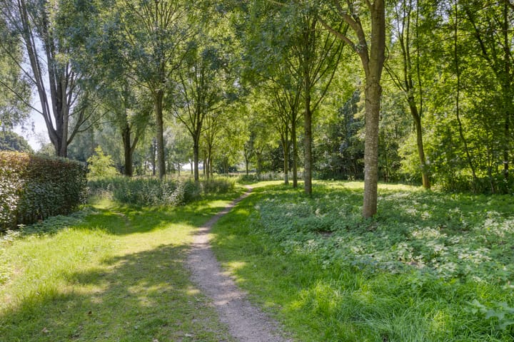 Foto 50 van Brandsestraat 3