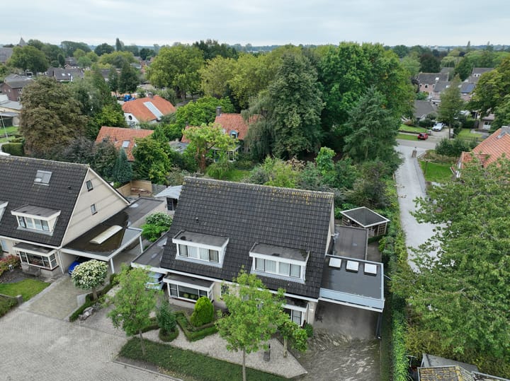 Foto 2 van Donkerbos 11