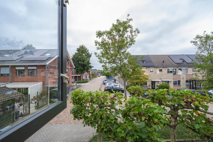 Foto 31 van Donkerbos 11