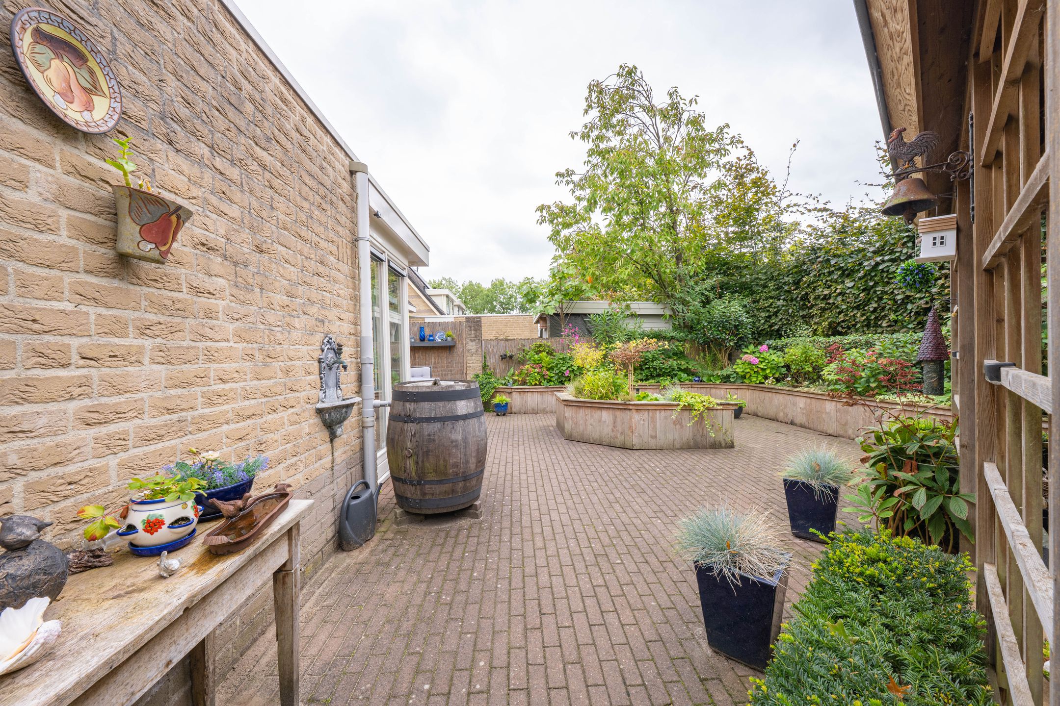 Foto 51 van Donkerbos 11