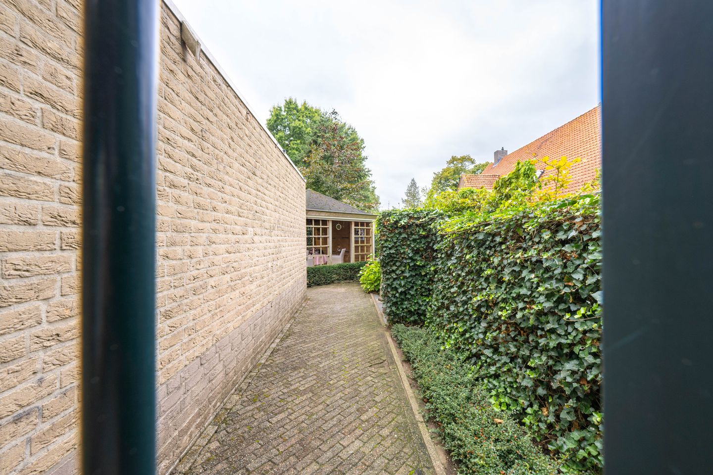 Foto 55 van Donkerbos 11