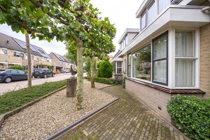 Foto 60 van Donkerbos 11