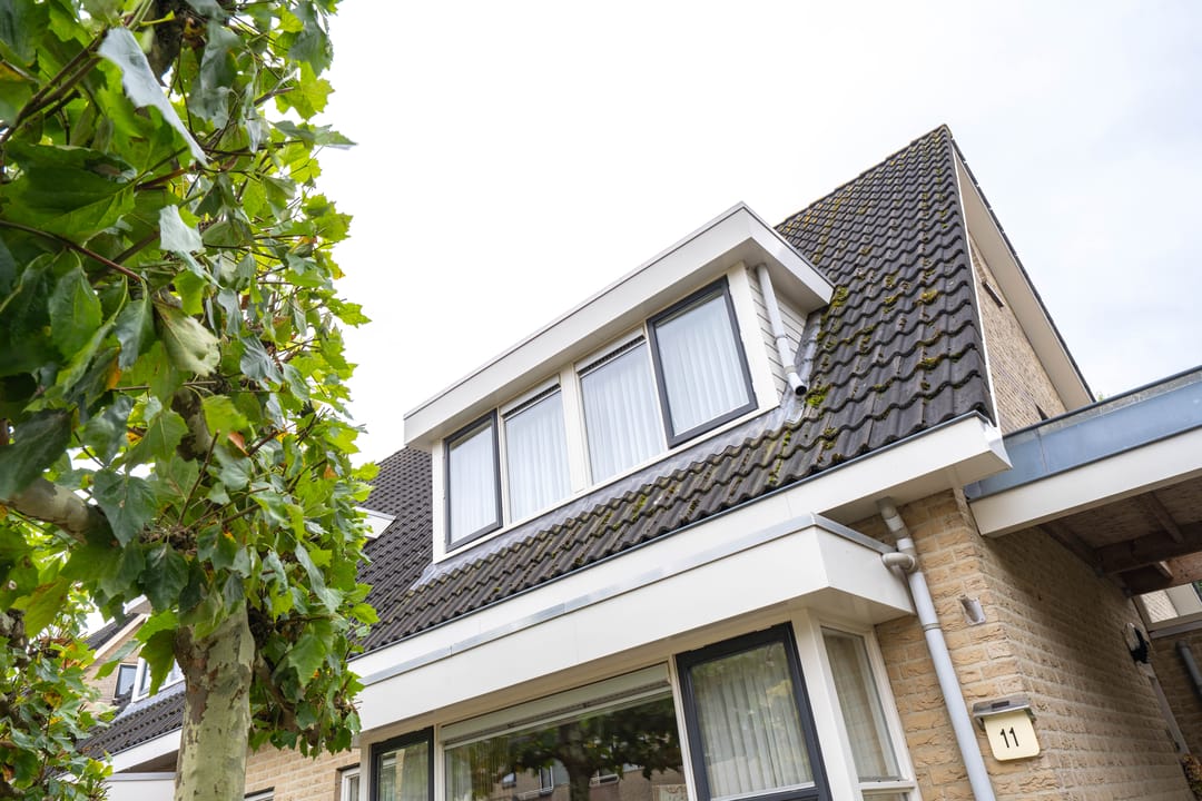 Foto 62 van Donkerbos 11