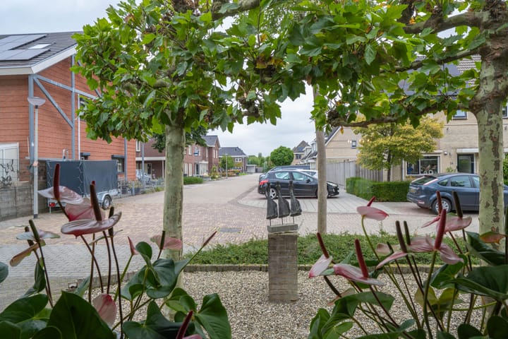 Foto 63 van Donkerbos 11