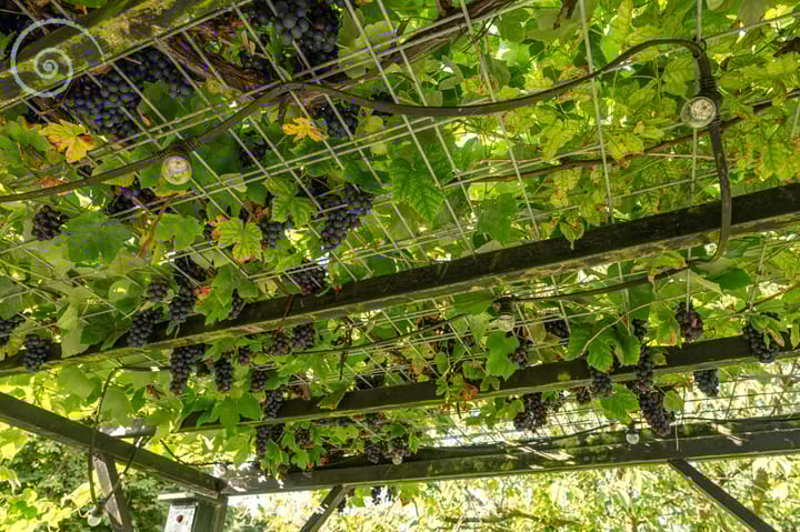 Photo 73 of Oudelandseweg 75