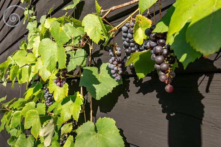 Photo 74 of Oudelandseweg 75