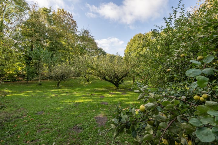 Photo 75 of Oudelandseweg 75