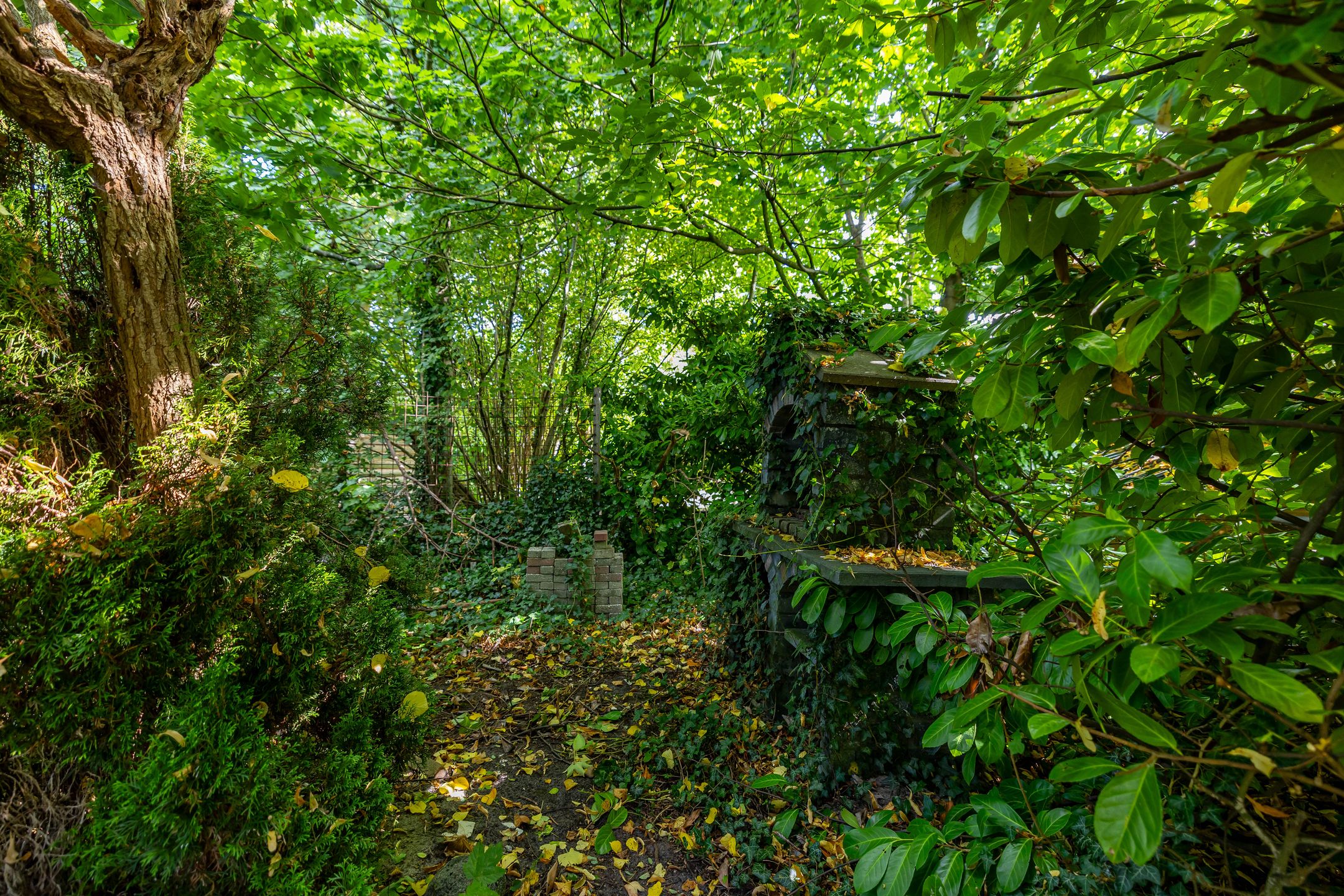 Foto 36 van Hoofdweg 107