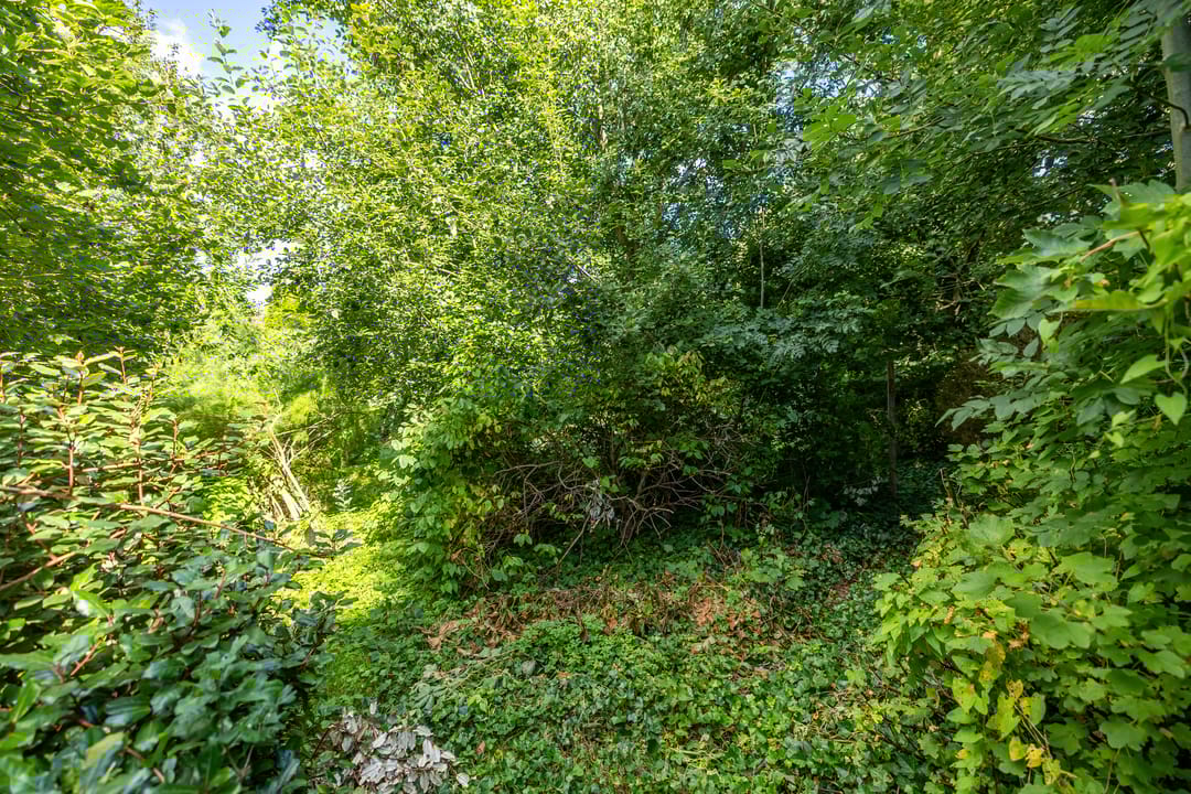 Foto 37 van Hoofdweg 107