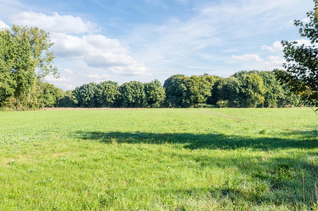 Photo 32 of Bergweg 15