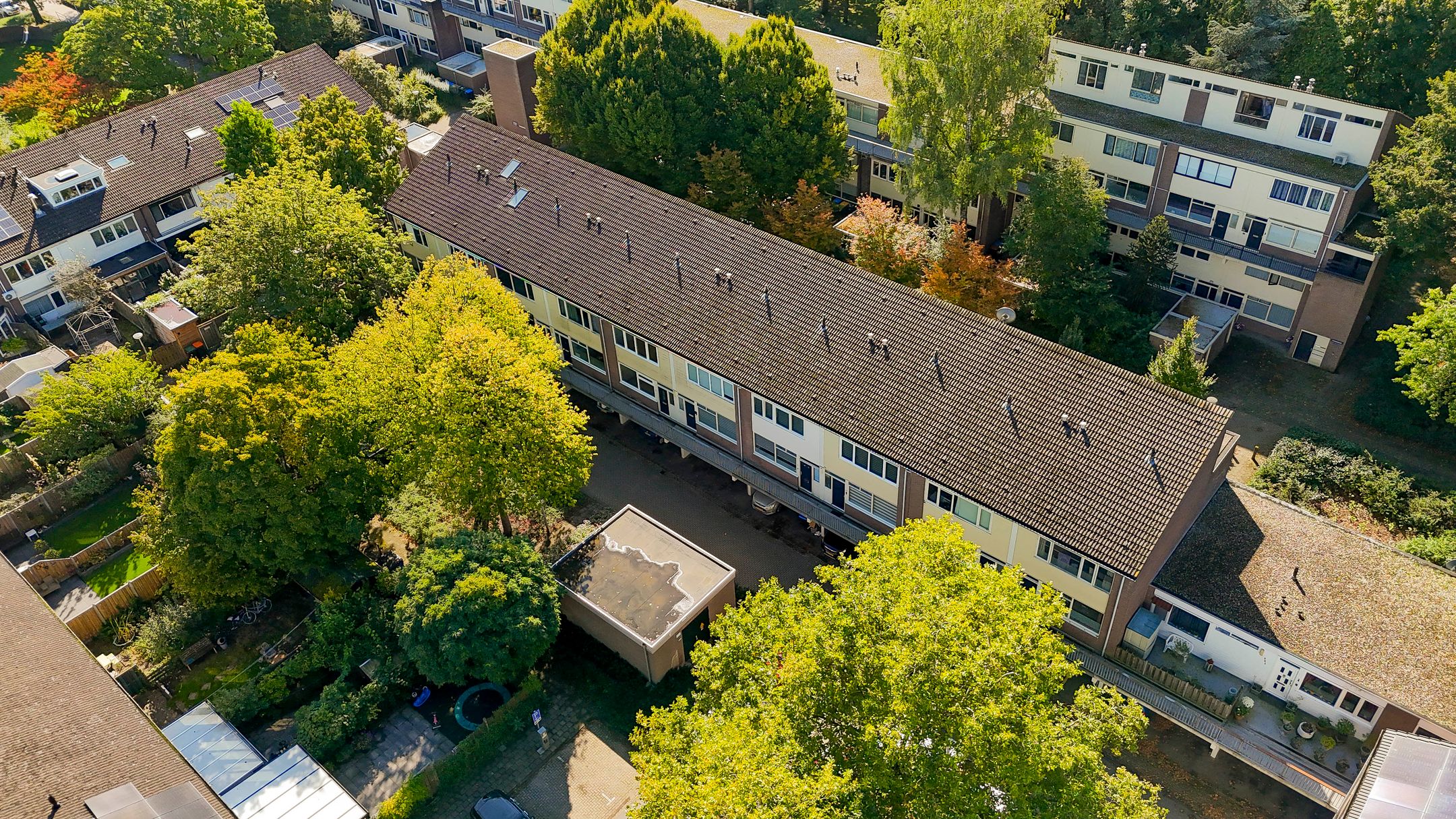 Photo 36 of Doornenburg 815