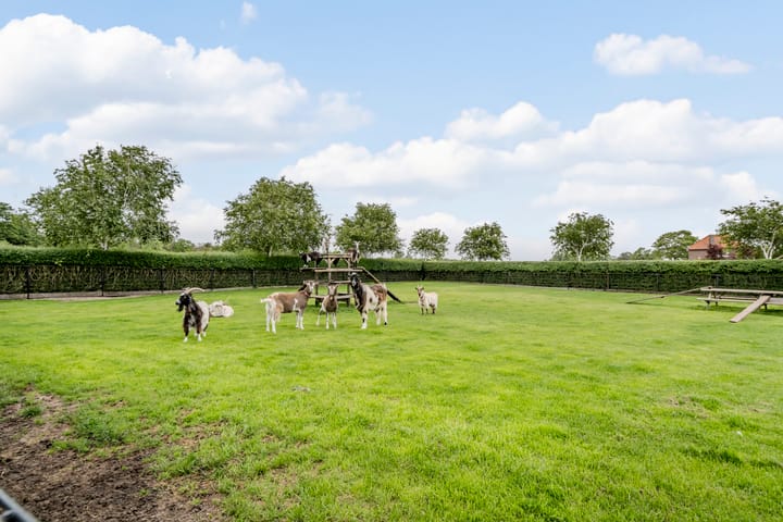 Foto 45 van Banweg 2