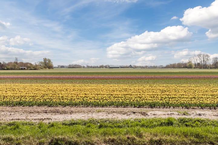 Foto 31 van Kleverlaan 1