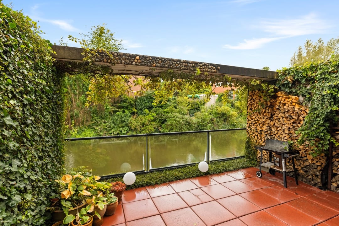 Photo 17 of Diopter 202