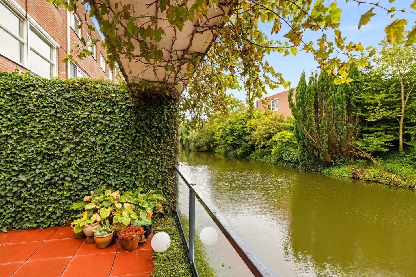 Photo 19 of Diopter 202