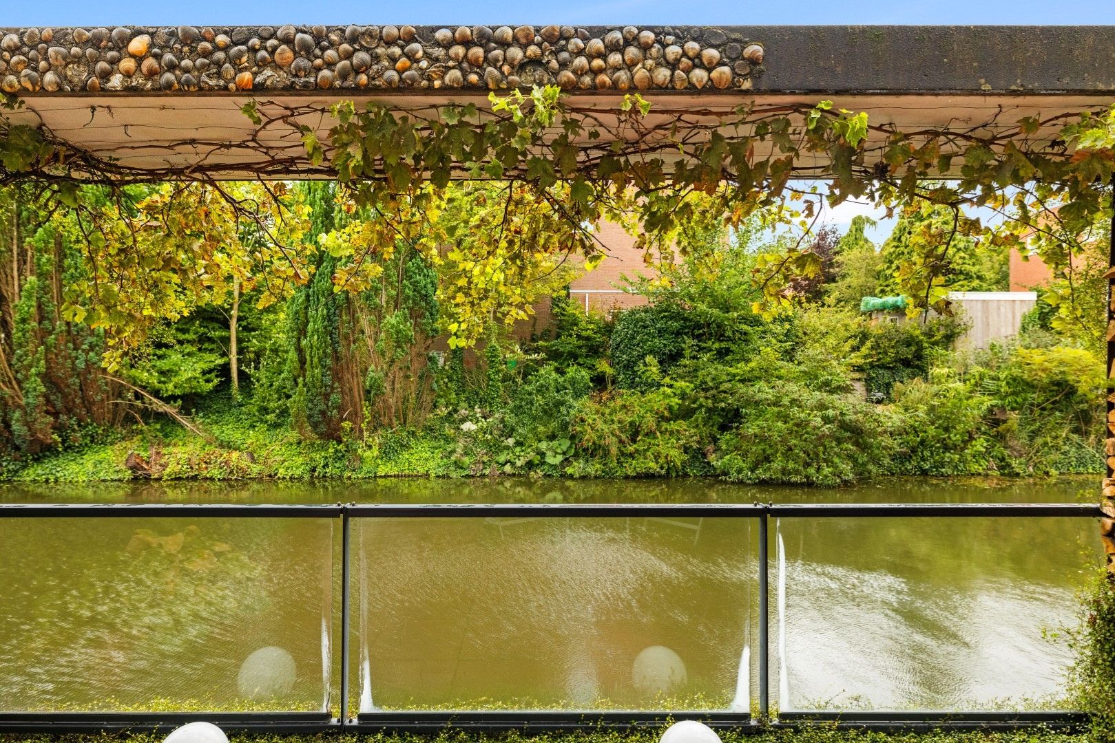 Photo 18 of Diopter 202