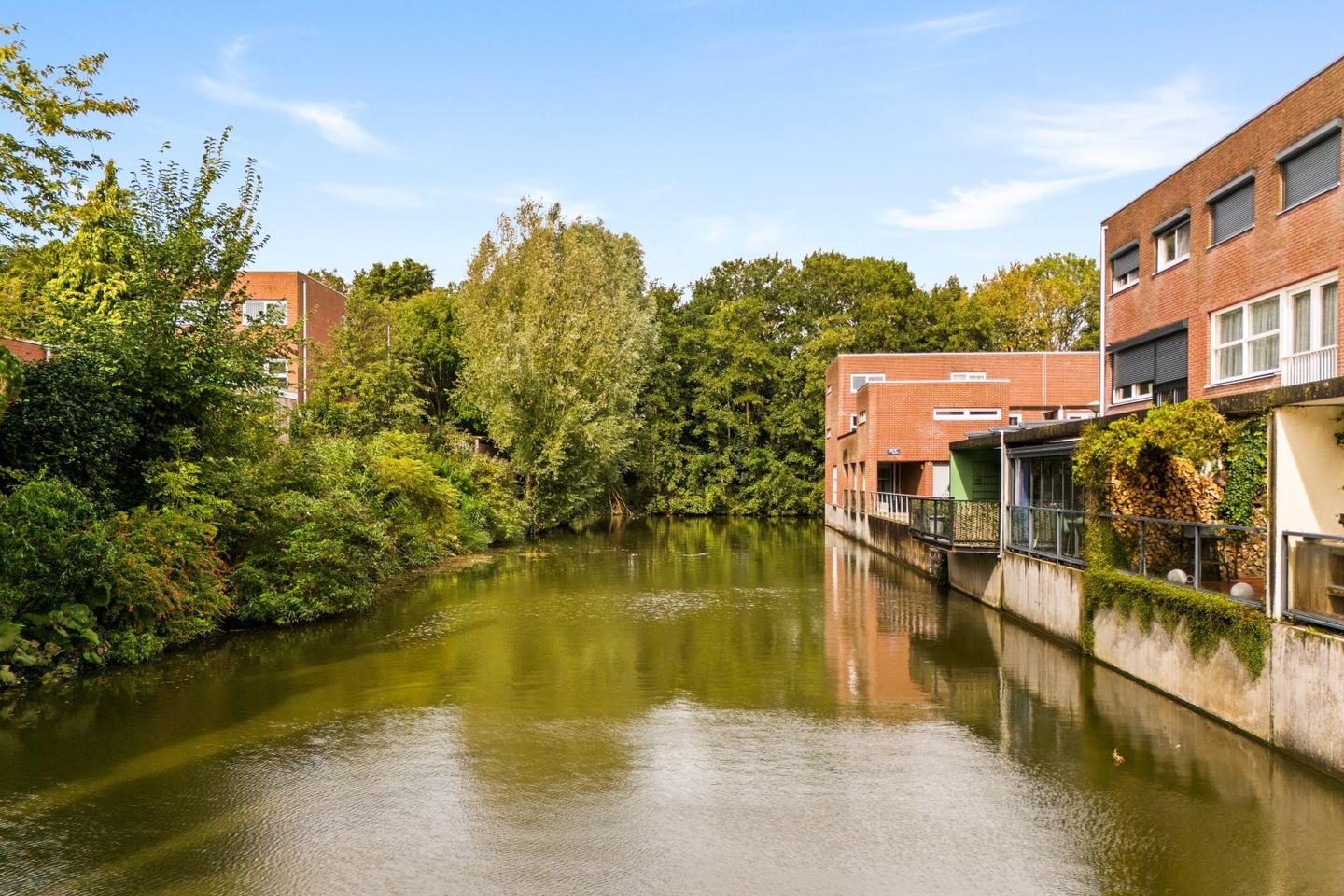 Photo 20 of Diopter 202