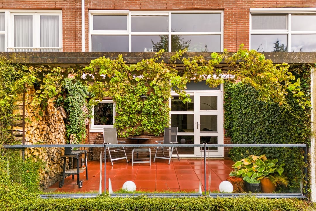 Photo 23 of Diopter 202