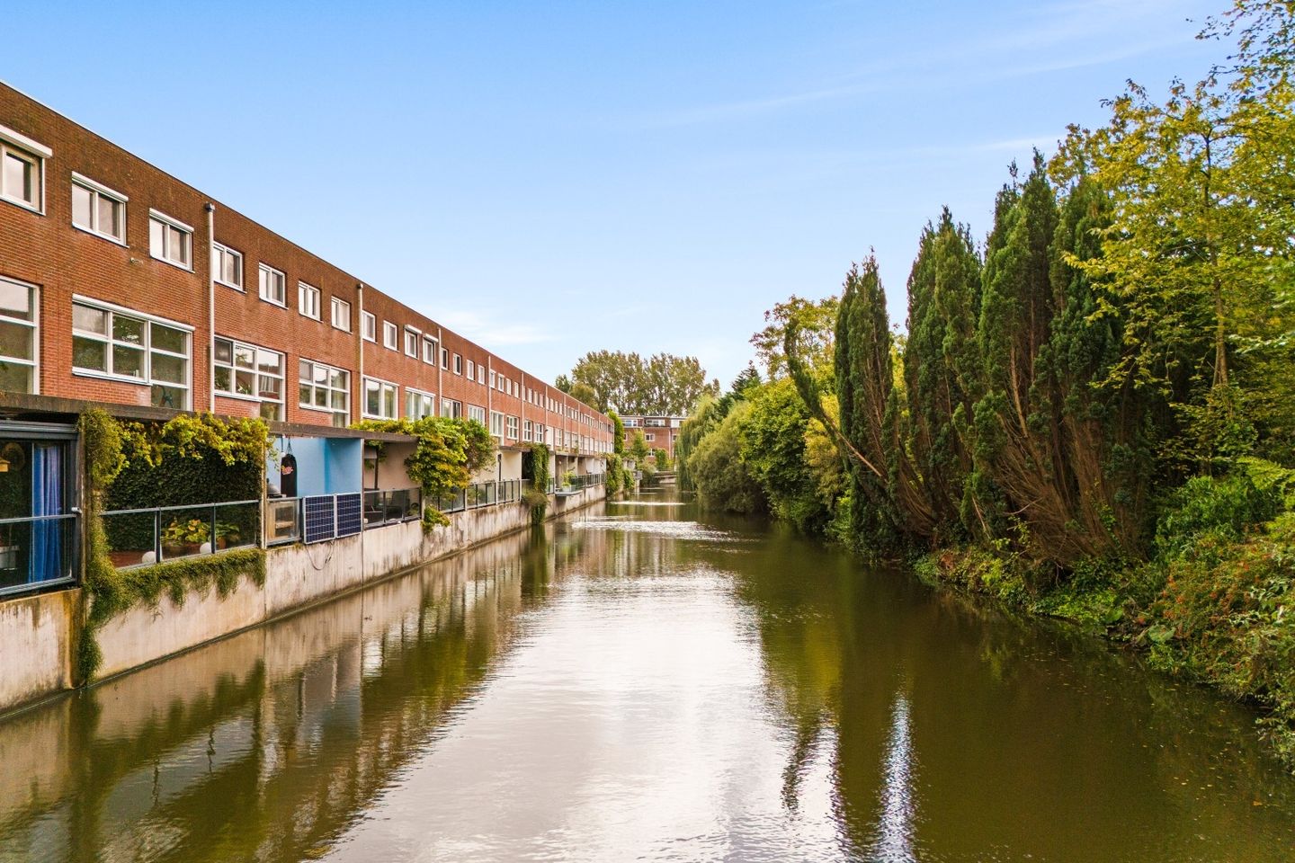 Photo 34 of Diopter 202