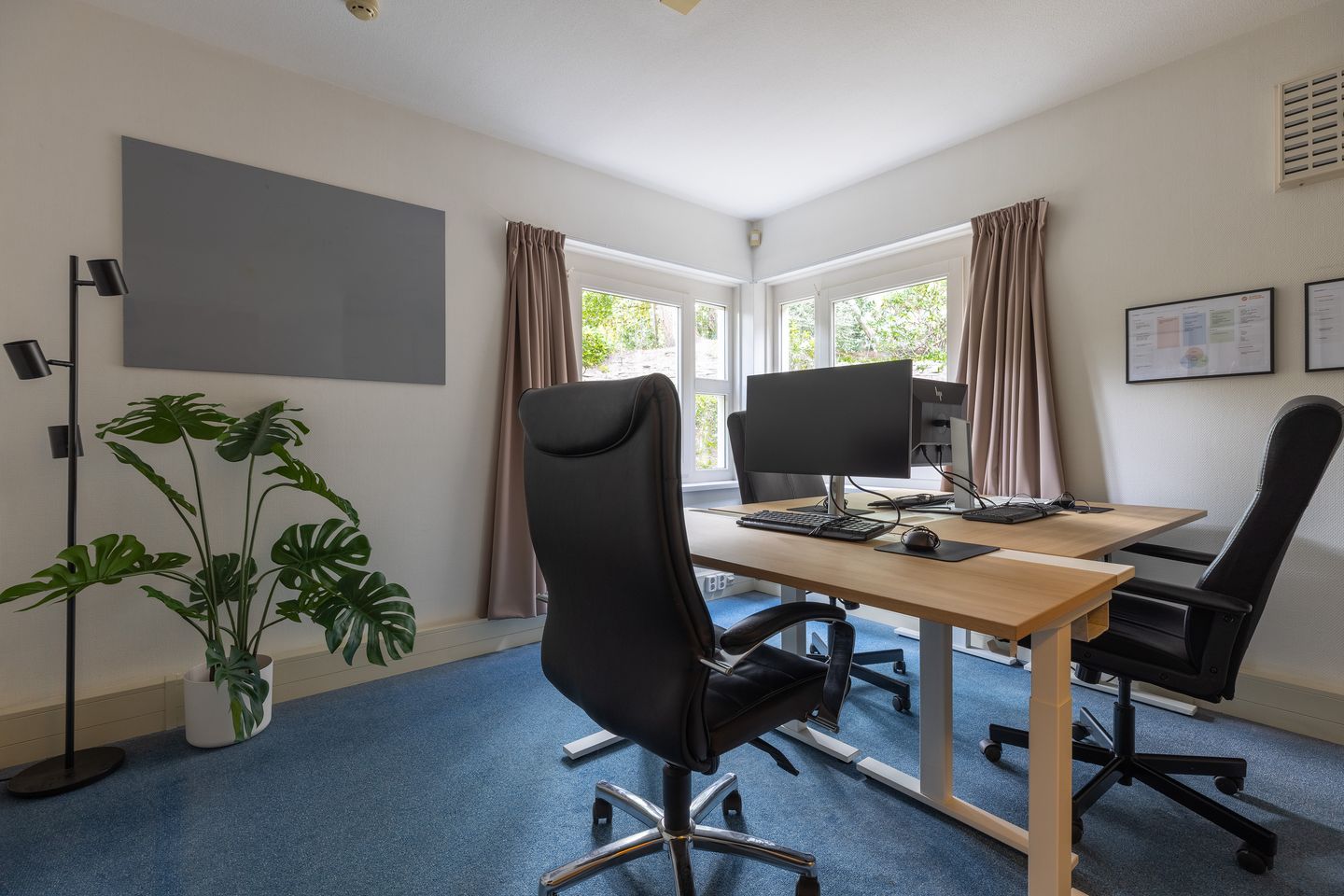 Foto 19 van Lindelaan 18