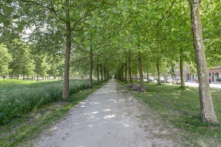 Photo 54 of Riesenberg 60