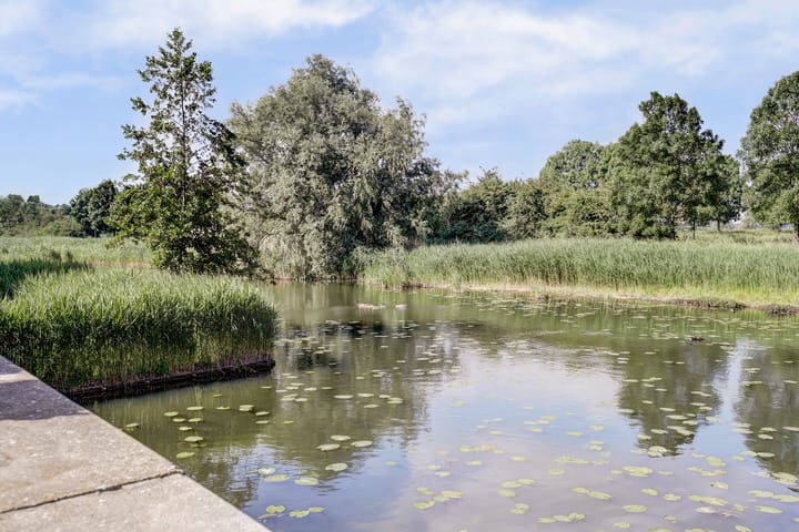 Photo 55 of Riesenberg 60