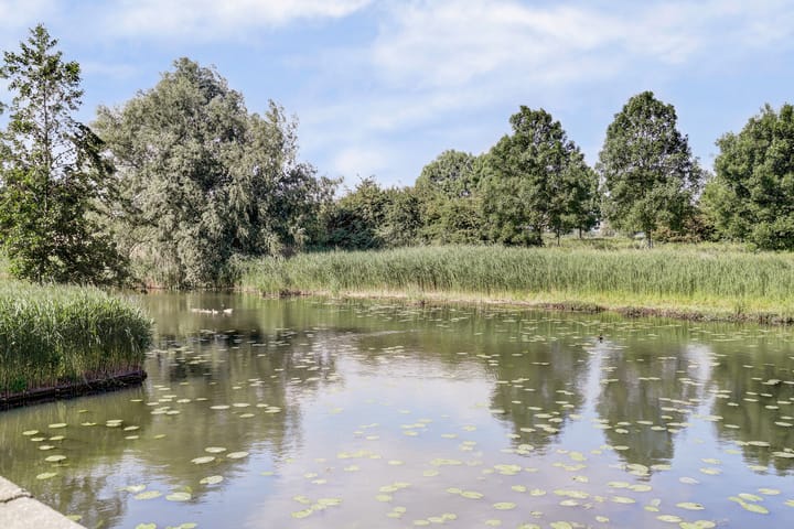 Photo 56 of Riesenberg 60