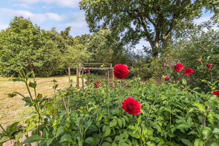 Foto 43 van Postweg 5