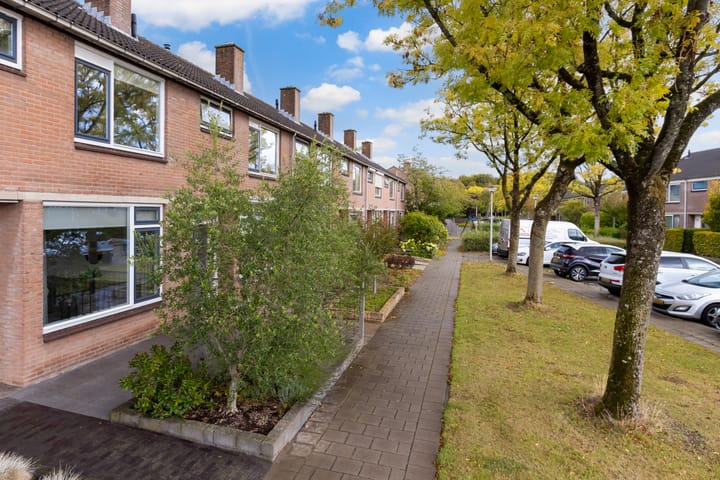 Photo 49 of Govert Flinckstraat 26