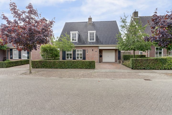 Foto 50 van Van Haarenstraat 9