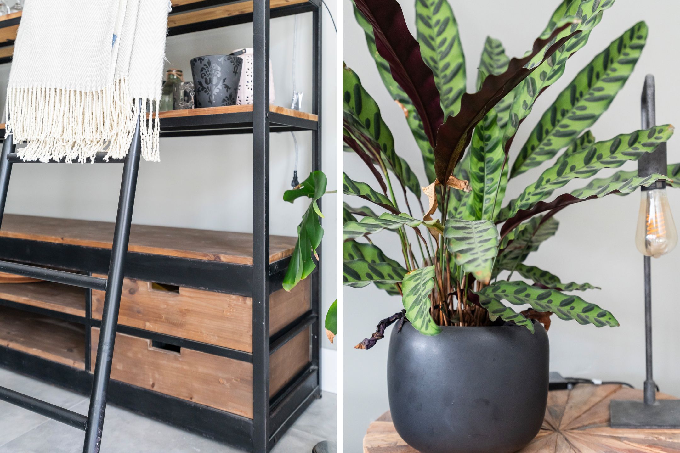 Foto 18 van Aquamarijn 23