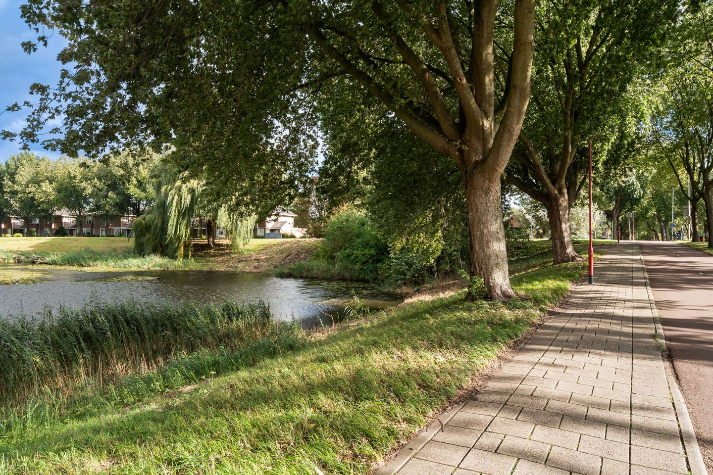 Foto 50 van Aquamarijn 23