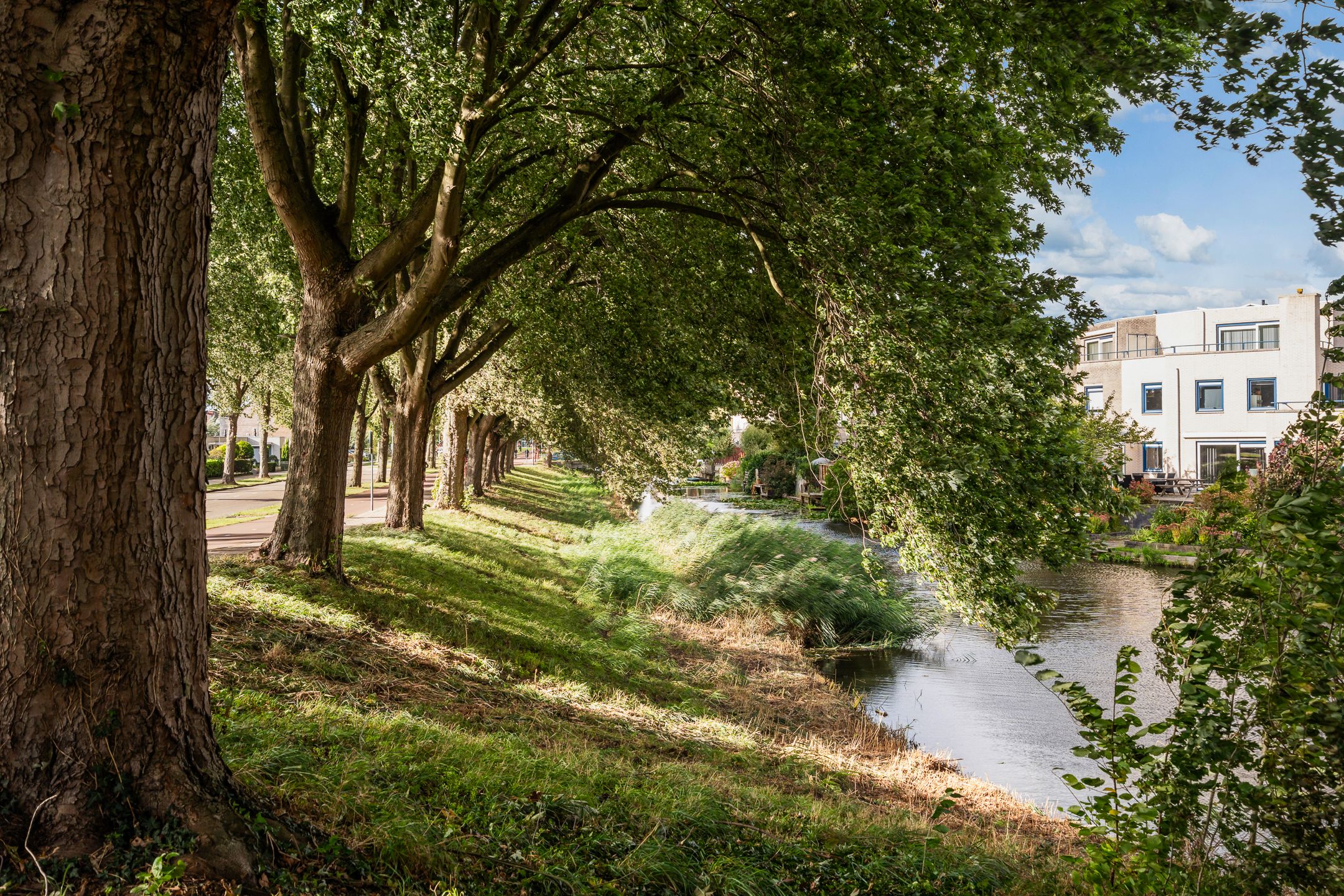 Foto 51 van Aquamarijn 23